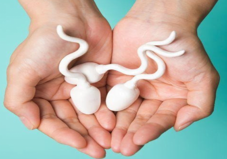 An Ultimate Guide to Semen Analysis- Normal Sperm Count & More