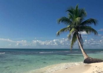 Tips and Benefits of a Perfect Beach Trip