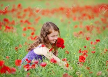 Ways of Picking Flowers You Need to Correct Today