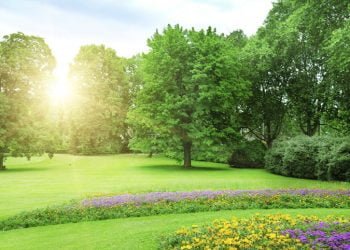 How to Landscape Your Garden