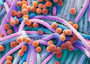 10 Ways to Prevent Viruses and Bacteria in Your Home