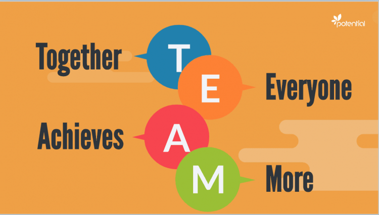 What Are The 5 Roles Of An Effective Team?