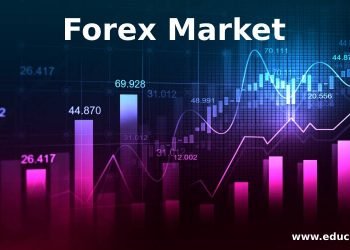 Forex Trading for Beginners: What You Need To Know?