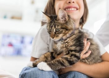8 Things Every Cat Owner Must Have