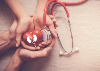 Having Trouble Planning Your Investments? Here’s How an Investment Calculator Can Help