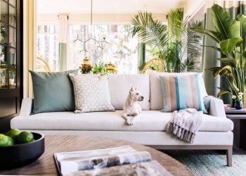 How Clean Your Upholstered Living Room Furniture?