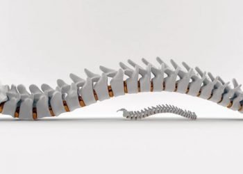 Everything You Should Know About LSS Symptoms