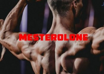 Proviron Bodybuilding Guide