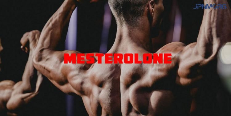 Proviron Bodybuilding Guide