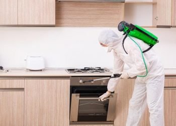 Why use a rat control company?