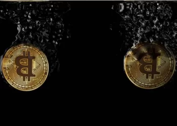 Get the Best Crypto to Invest 2022 through These Factors