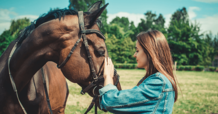 The First 5 Things To Do Before Buying A Horse