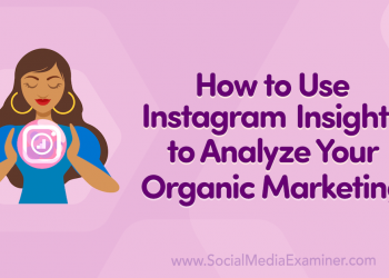 How to Use Instagram Insights to Analyze Your Organic Marketing