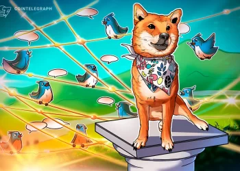 ARE MEME TOKENS RISKY?