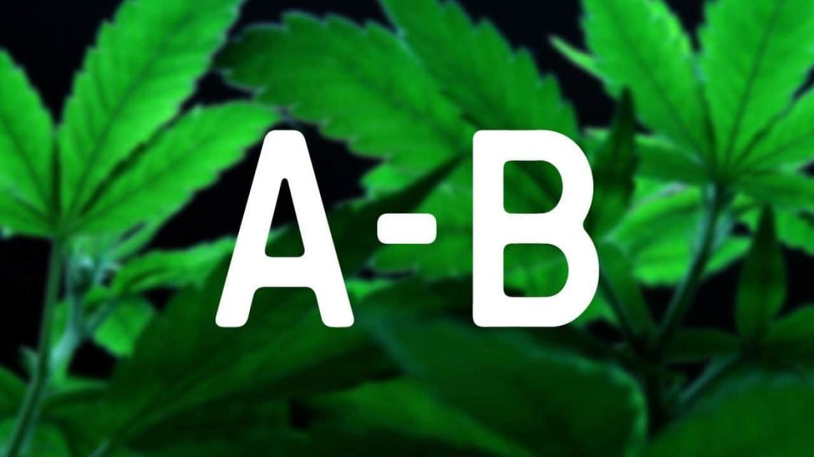 Terminology for Growing Weed