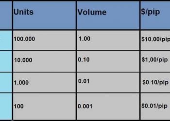 Forex Lot Size: Options You Can Choose From