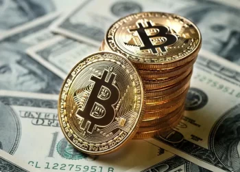 Important Factors To Consider In Bitcoin Investment