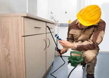 3 Reasons Why You Need To Hire A Professional Pest Controller