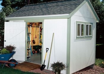 Basic Steps You Need To Understand When Building a Shed in Your Backyard