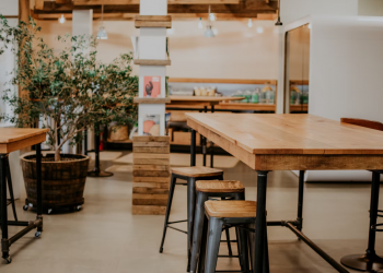 Why Wood-Focused Aesthetics Remain a Timeless Interior Decor Style