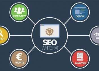 Understanding Why You Need SEO Optimization