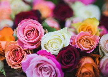 The 3 Style Trends of 2022 in the field Flowers