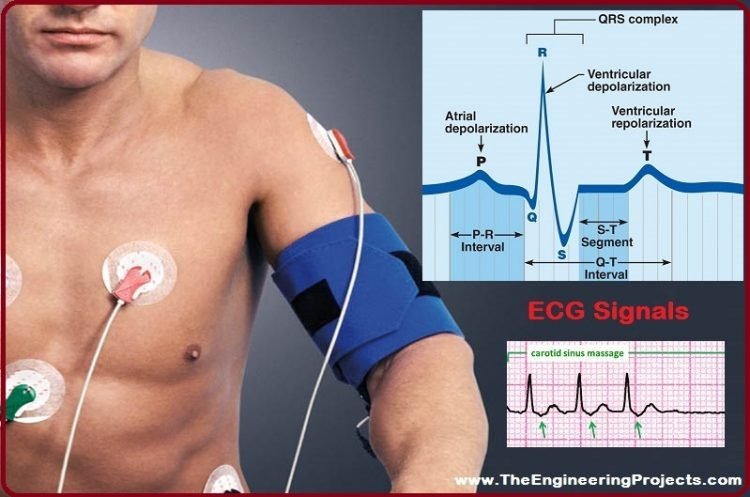 WHAT IS THE DIFFERENCE BETWEEN ECHO AND ECG?