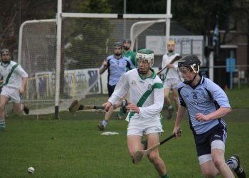 The Keys to Starting a New Life in Ireland