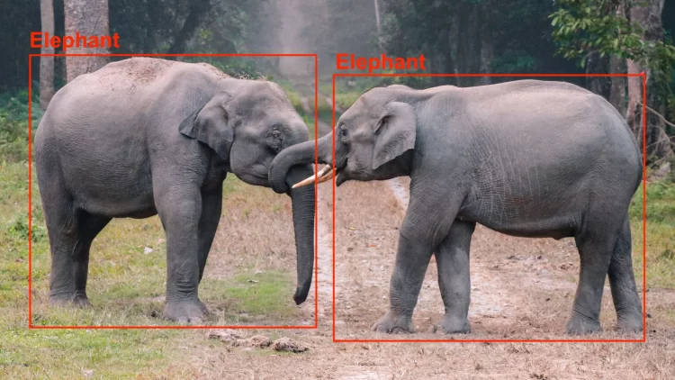 A Gentle Introduction to Object Recognition with AI