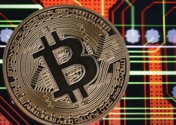 5 Pointers In Support Of Bitcoin- What You Need To Know