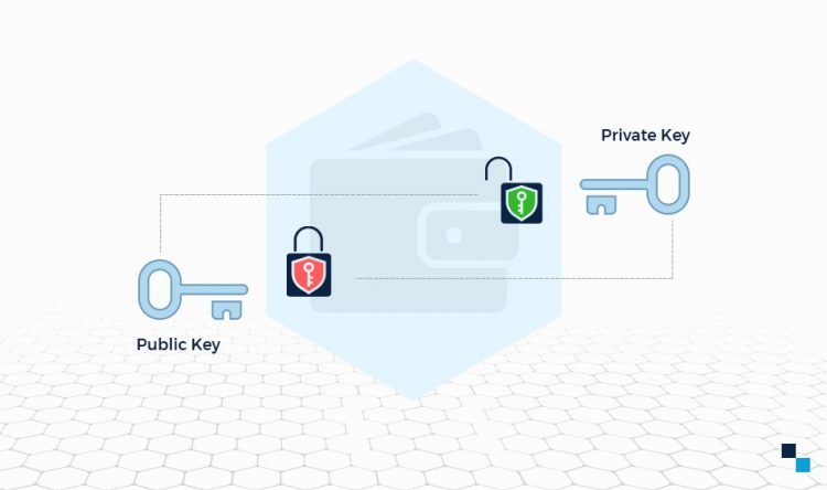 Crypto Wallets, Public and Private Keys – ways to protect them
