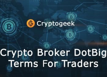 All about the possibilities of trading cryptocurrency with DotBig