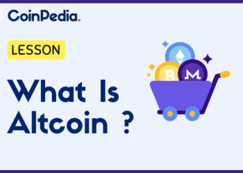 The Beginner’s Guide To Altcoins: Everything You Need To Know