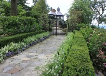 Garden Improvements Tips and Tricks 