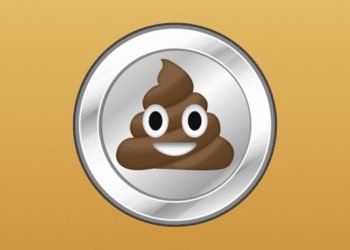 The Ins And Outs of Shitcoin: Everything You Need To Know
