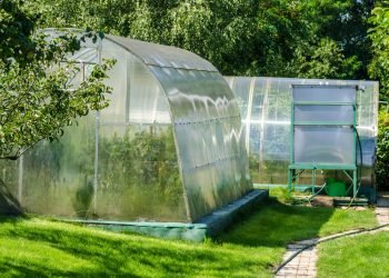 Want To Grow Your Own Plants? 6 Benefits Of A Greenhouse