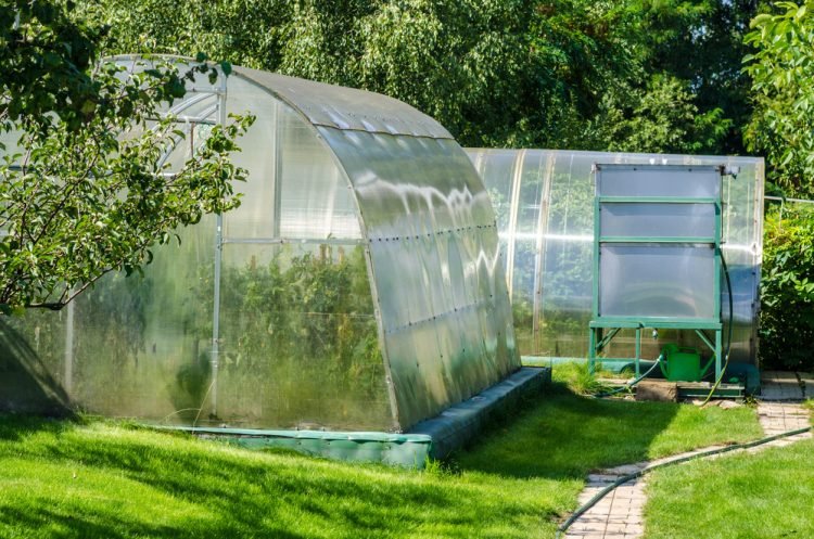 Want To Grow Your Own Plants? 6 Benefits Of A Greenhouse