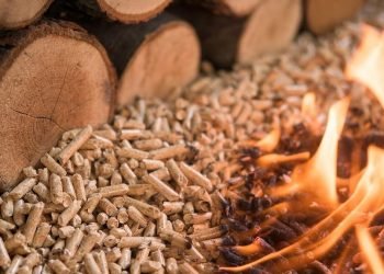 Why is Wood Pellet Making Business Profitable Amid Russia-Ukraine War?