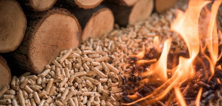 Why is Wood Pellet Making Business Profitable Amid Russia-Ukraine War?