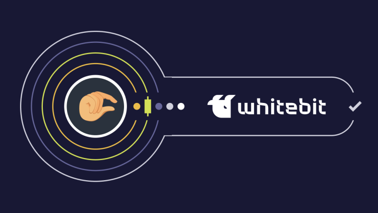 What Is Decimal Token (DECL)? How to Trade DECL on WhiteBIT?