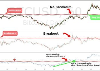Bitcoin Tricks That Novices Must Master Before Trading