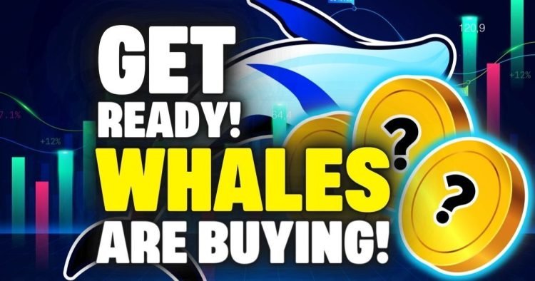 Crypto whales are buying these Altcoins