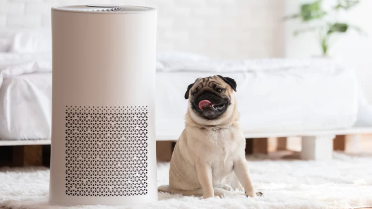 Why MERV Filters are a Smart Investment for Your Indoor Air Quality