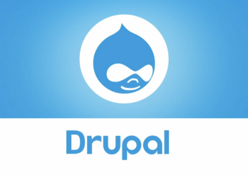Drupal Agency vs Freelance Drupal Developer: What to Choose?