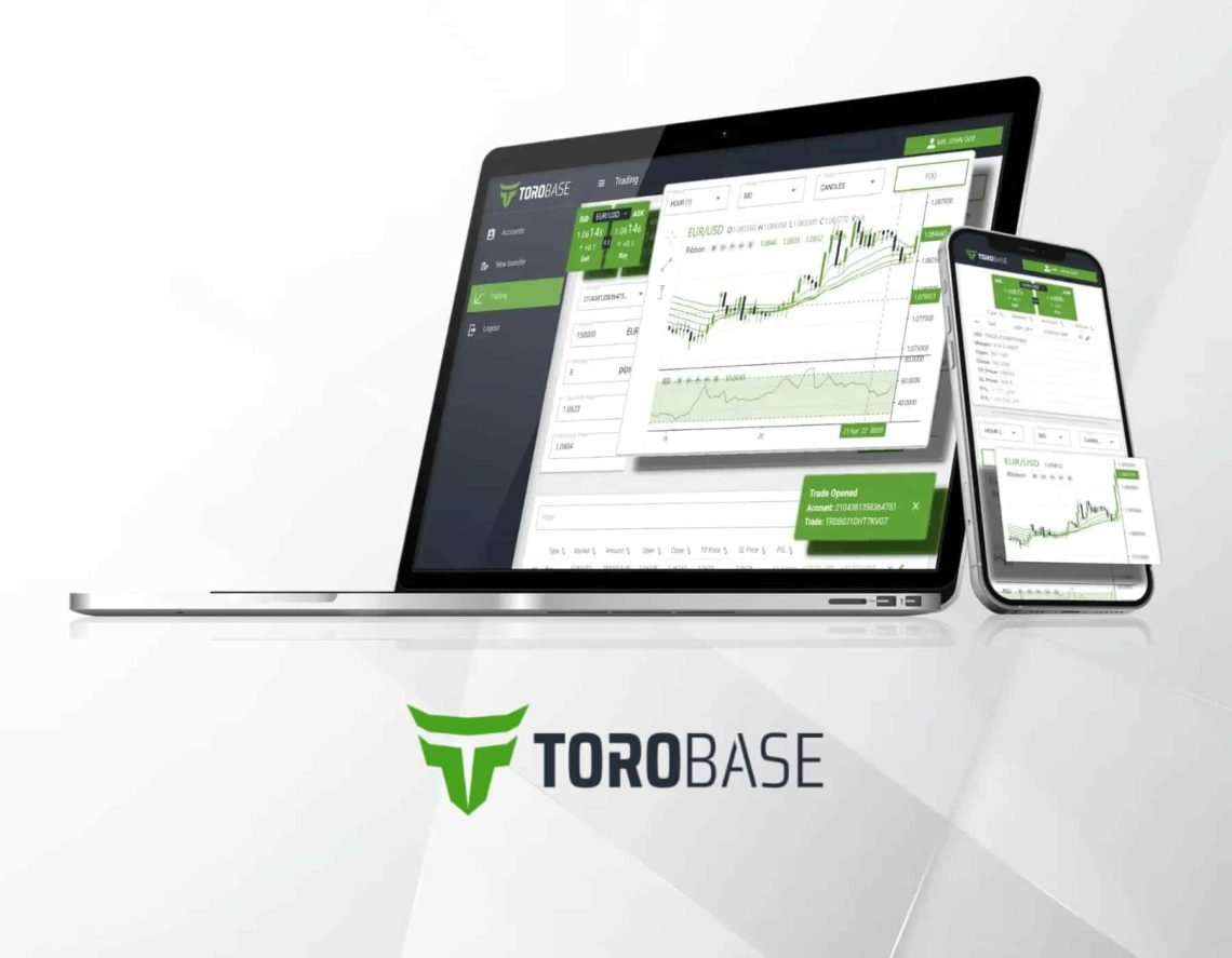 Torobase Reviews 2023: User Reviews & Ratings
