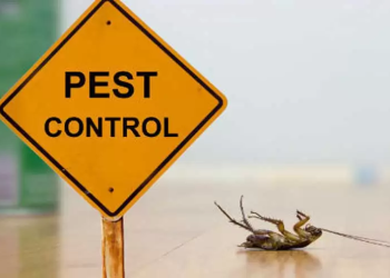 The Role of Pest Control Services in Ensuring a Safe Workplace