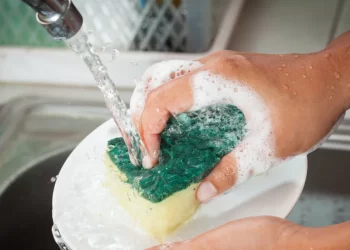 Ingredients to Avoid for Skin Safe Dish Soap Selection