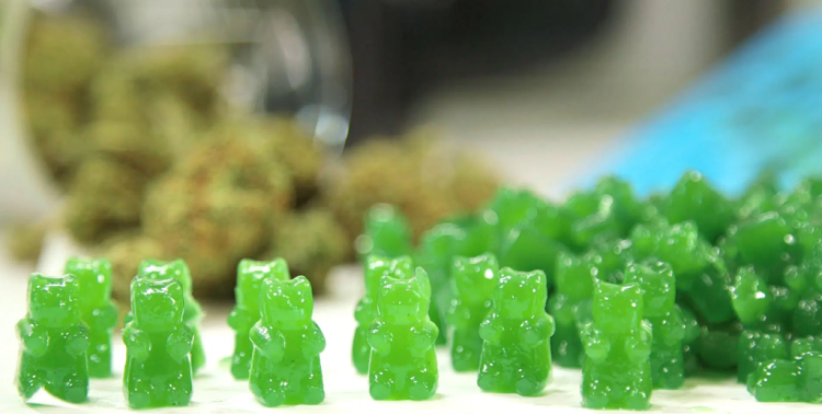 Satisfy Your Sweet Tooth and Calm Your Mind with CBD Gummies