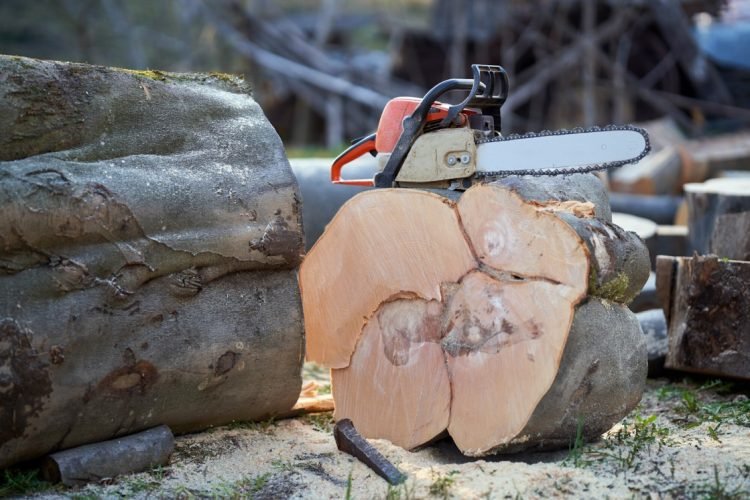 The Complete Guide to Choosing Logging Equipment: Everything to Know