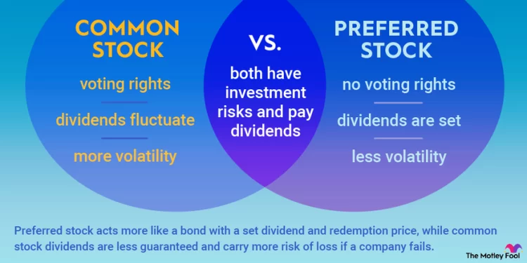 What Are the Differences Between Preferred and Common Shares?